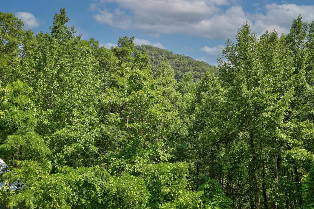 Vila Blue Ridge Delight Clayton Exteriér fotografie